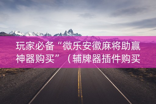 玩家必备“微乐安徽麻将助赢神器购买”（辅牌器插件购买)