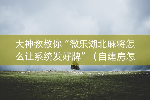 大神教教你“微乐湖北麻将怎么让系统发好牌”（自建房怎么赢)