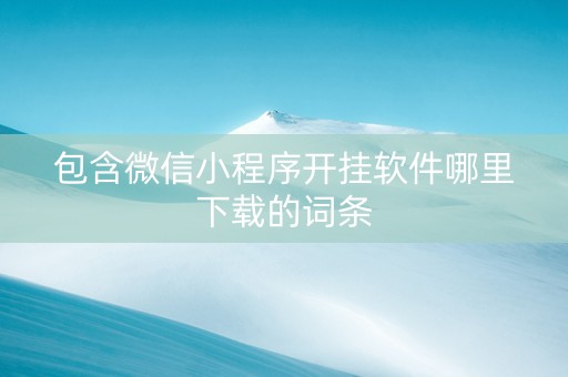 包含微信小程序开挂软件哪里下载的词条