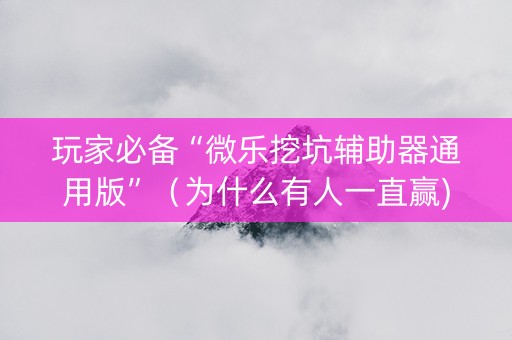 玩家必备“微乐挖坑辅助器通用版”（为什么有人一直赢)