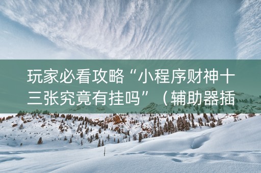 玩家必看攻略“小程序财神十三张究竟有挂吗”（辅助器插件)