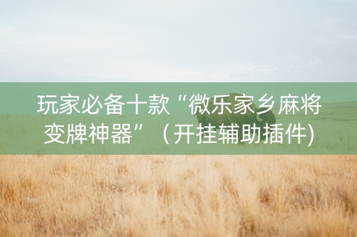 玩家必备十款“微乐家乡麻将变牌神器”（开挂辅助插件)