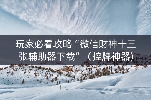 玩家必看攻略“微信财神十三张辅助器下载”（控牌神器)