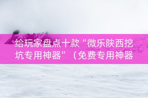 给玩家盘点十款“微乐陕西挖坑专用神器”（免费专用神器)
