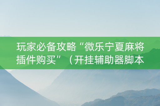玩家必备攻略“微乐宁夏麻将插件购买”（开挂辅助器脚本)