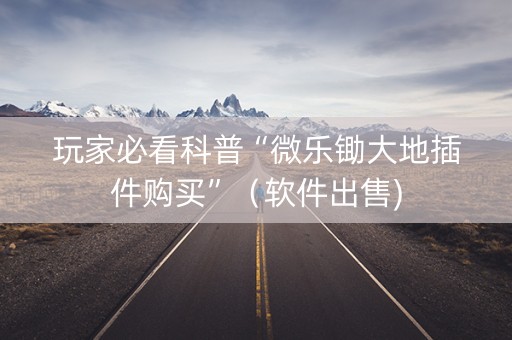 玩家必看科普“微乐锄大地插件购买”（软件出售)