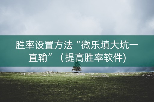 胜率设置方法“微乐填大坑一直输”（提高胜率软件)
