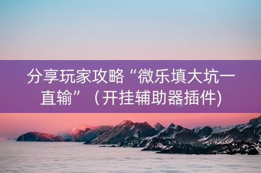 分享玩家攻略“微乐填大坑一直输”（开挂辅助器插件)