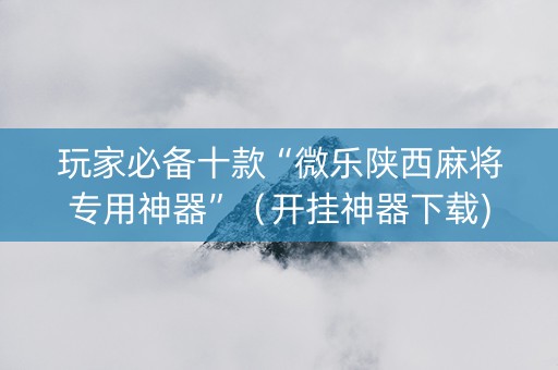玩家必备十款“微乐陕西麻将专用神器”（开挂神器下载)