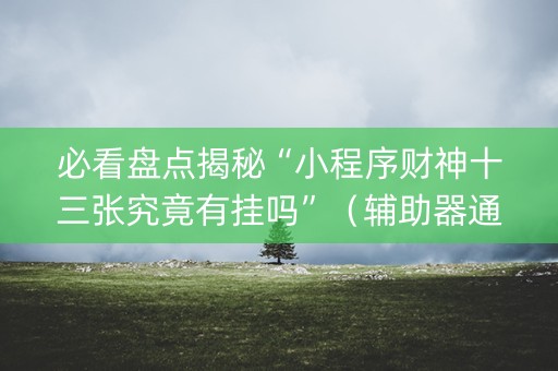 必看盘点揭秘“小程序财神十三张究竟有挂吗”（辅助器通用版)