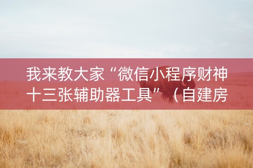 我来教大家“微信小程序财神十三张辅助器工具”（自建房怎么赢)