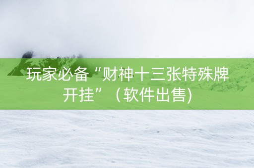 玩家必备“财神十三张特殊牌开挂”（软件出售)
