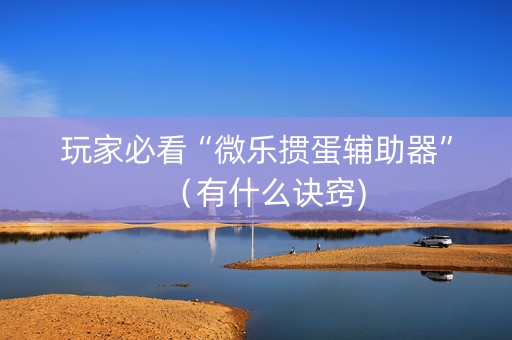 玩家必看“微乐掼蛋辅助器”（有什么诀窍)