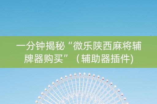 一分钟揭秘“微乐陕西麻将辅牌器购买”（辅助器插件)