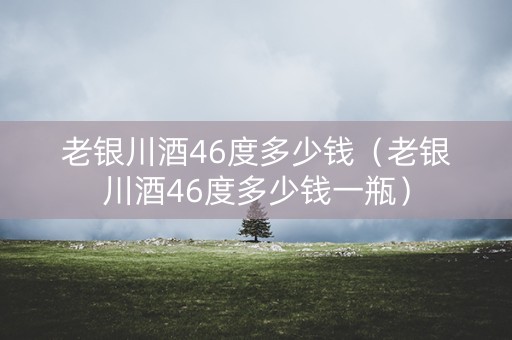 老银川酒46度多少钱（老银川酒46度多少钱一瓶）