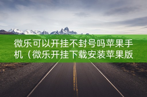 微乐可以开挂不封号吗苹果手机（微乐开挂下载安装苹果版）