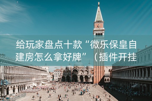给玩家盘点十款“微乐保皇自建房怎么拿好牌”（插件开挂免费AI)