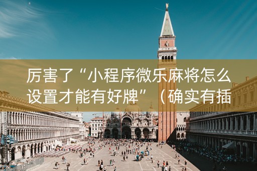 厉害了“小程序微乐麻将怎么设置才能有好牌”（确实有插件吗)