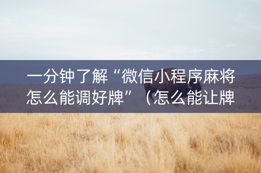 一分钟了解“微信小程序麻将怎么能调好牌”（怎么能让牌好一点)