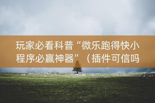 玩家必看科普“微乐跑得快小程序必赢神器”（插件可信吗)