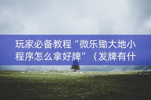 玩家必备教程“微乐锄大地小程序怎么拿好牌”（发牌有什么规律吗)