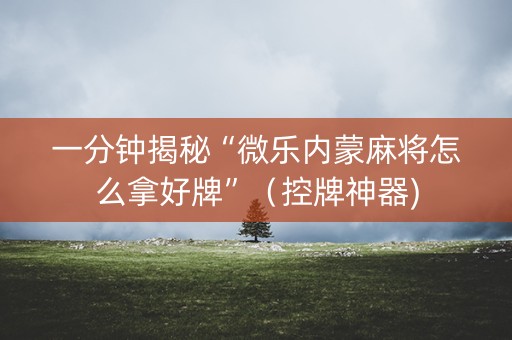一分钟揭秘“微乐内蒙麻将怎么拿好牌”（控牌神器)