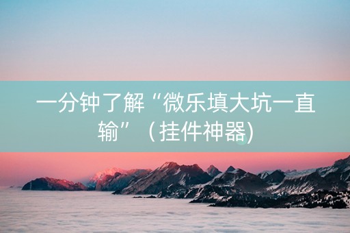 一分钟了解“微乐填大坑一直输”（挂件神器)