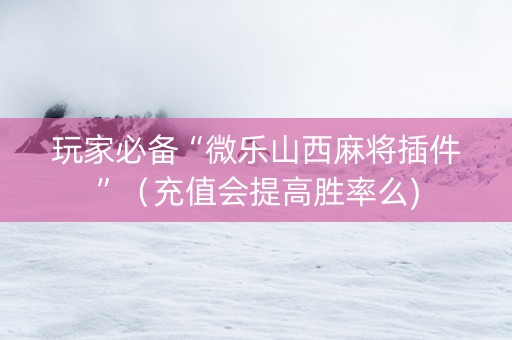 玩家必备“微乐山西麻将插件”（充值会提高胜率么)
