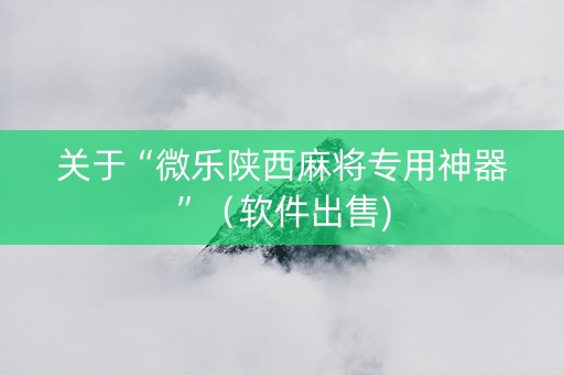 关于“微乐陕西麻将专用神器”（软件出售)