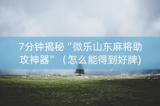 7分钟揭秘“微乐山东麻将助攻神器”（怎么能得到好牌)