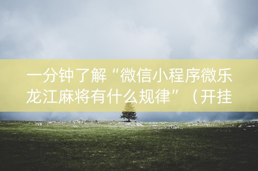 一分钟了解“微信小程序微乐龙江麻将有什么规律”（开挂辅助脚本)