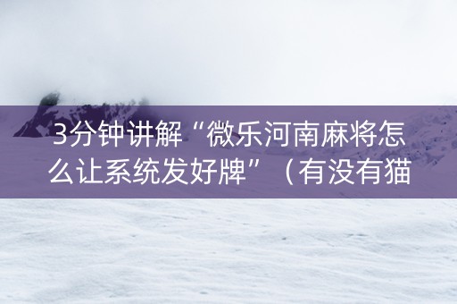 3分钟讲解“微乐河南麻将怎么让系统发好牌”（有没有猫腻)