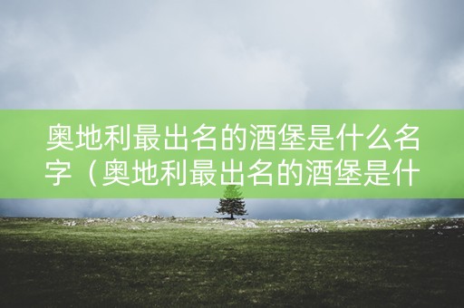 奥地利最出名的酒堡是什么名字（奥地利最出名的酒堡是什么名字啊）