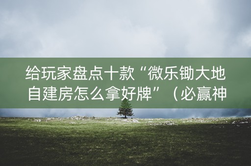 给玩家盘点十款“微乐锄大地自建房怎么拿好牌”（必赢神器辅助器)