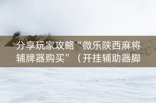 分享玩家攻略“微乐陕西麻将辅牌器购买”（开挂辅助器脚本)