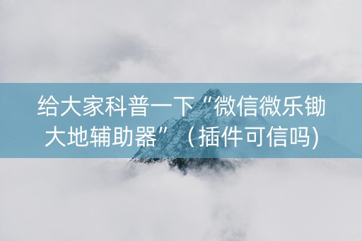 给大家科普一下“微信微乐锄大地辅助器”（插件可信吗)