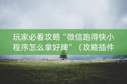玩家必看攻略“微信跑得快小程序怎么拿好牌”（攻略插件)