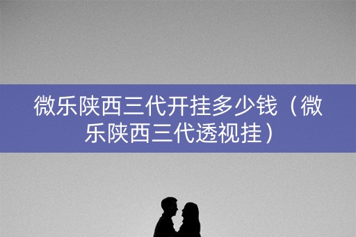 微乐陕西三代开挂多少钱（微乐陕西三代透视挂）