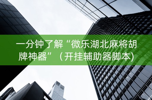 一分钟了解“微乐湖北麻将胡牌神器”（开挂辅助器脚本)