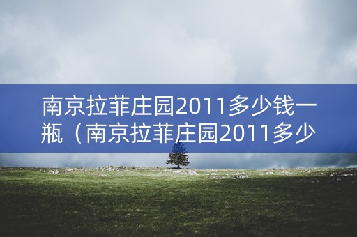 南京拉菲庄园2011多少钱一瓶（南京拉菲庄园2011多少钱一瓶酒）