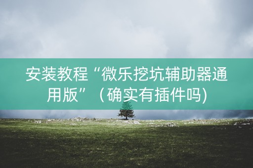 安装教程“微乐挖坑辅助器通用版”（确实有插件吗)