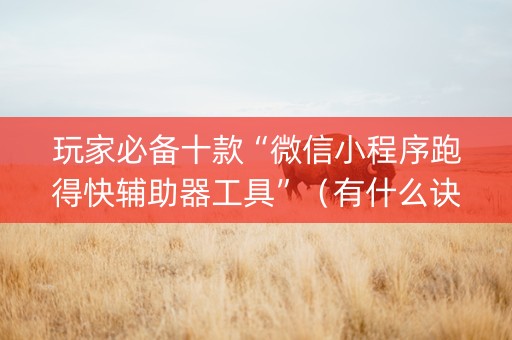 玩家必备十款“微信小程序跑得快辅助器工具”（有什么诀窍)