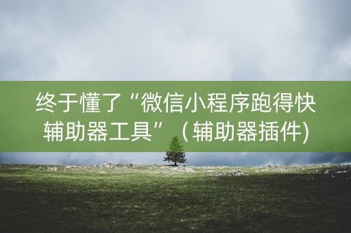 终于懂了“微信小程序跑得快辅助器工具”（辅助器插件)