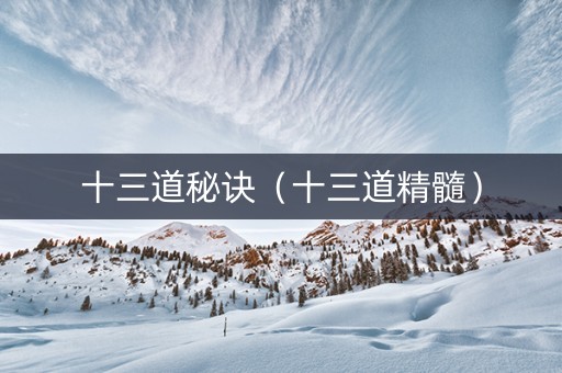 十三道秘诀（十三道精髓）