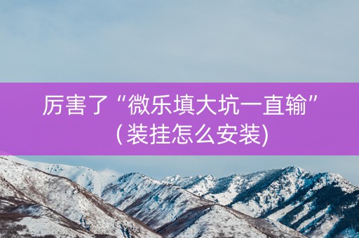 厉害了“微乐填大坑一直输”（装挂怎么安装)