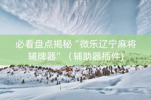必看盘点揭秘“微乐辽宁麻将辅牌器”（辅助器插件)