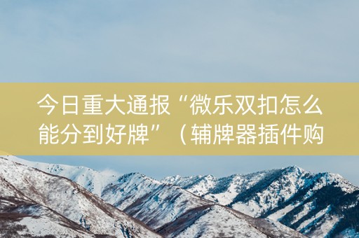 今日重大通报“微乐双扣怎么能分到好牌”（辅牌器插件购买)