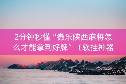2分钟秒懂“微乐陕西麻将怎么才能拿到好牌”（软挂神器)