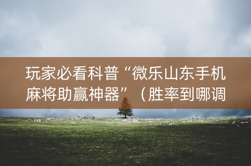 玩家必看科普“微乐山东手机麻将助赢神器”（胜率到哪调)
