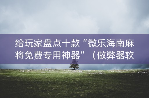 给玩家盘点十款“微乐海南麻将免费专用神器”（做弊器软件下载)